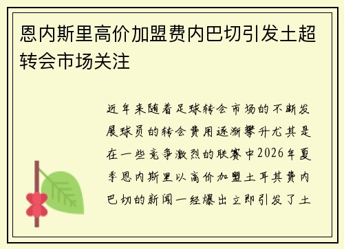 恩内斯里高价加盟费内巴切引发土超转会市场关注